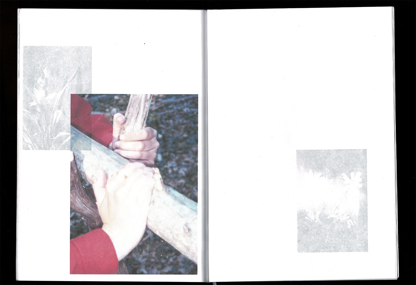 scan d'edition_ Bye Bye butterfly_ photographies et texte_ Juliette Morisse