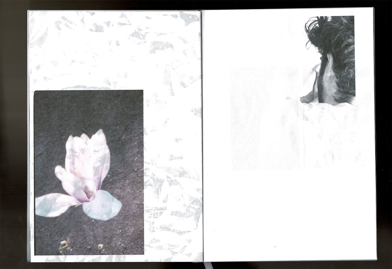 scan d'edition_ Bye Bye butterfly_ photographies et texte_ Juliette Morisse