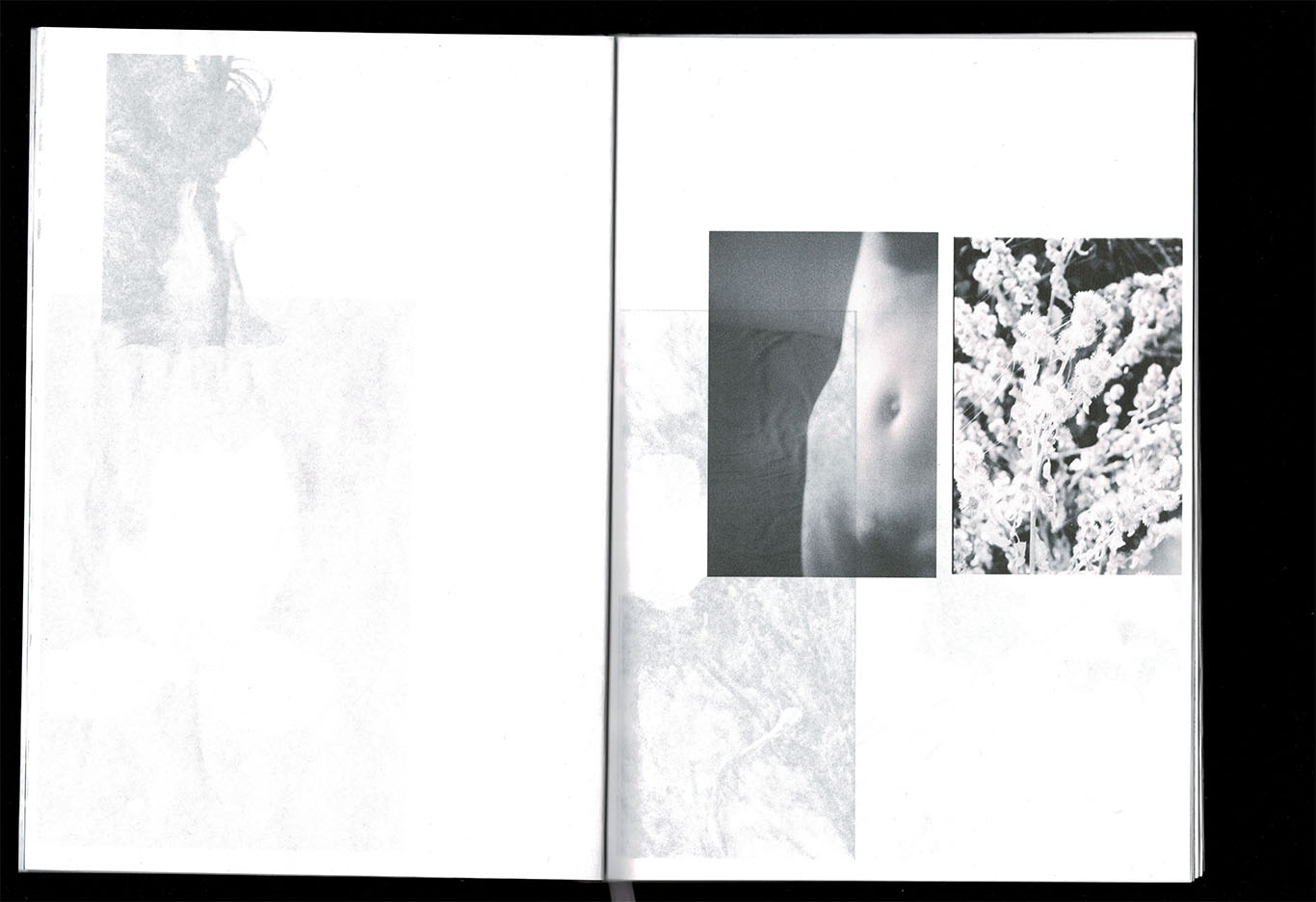 scan d'edition_ Bye Bye butterfly_ photographies et texte_ Juliette Morisse