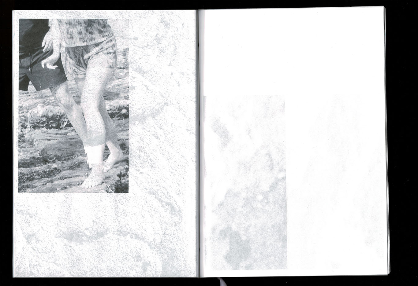 scan d'edition_ Bye Bye butterfly_ photographies et texte_ Juliette Morisse