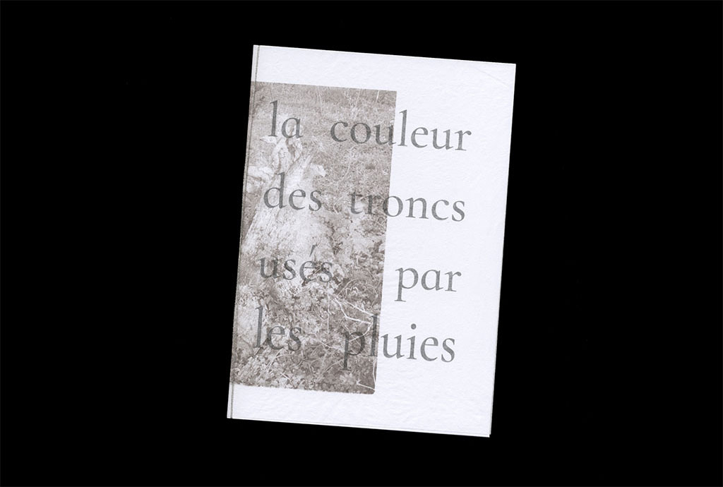 scan d'edition_la couleur des troncs usés_ photographie et texte_ Juliette Morisse