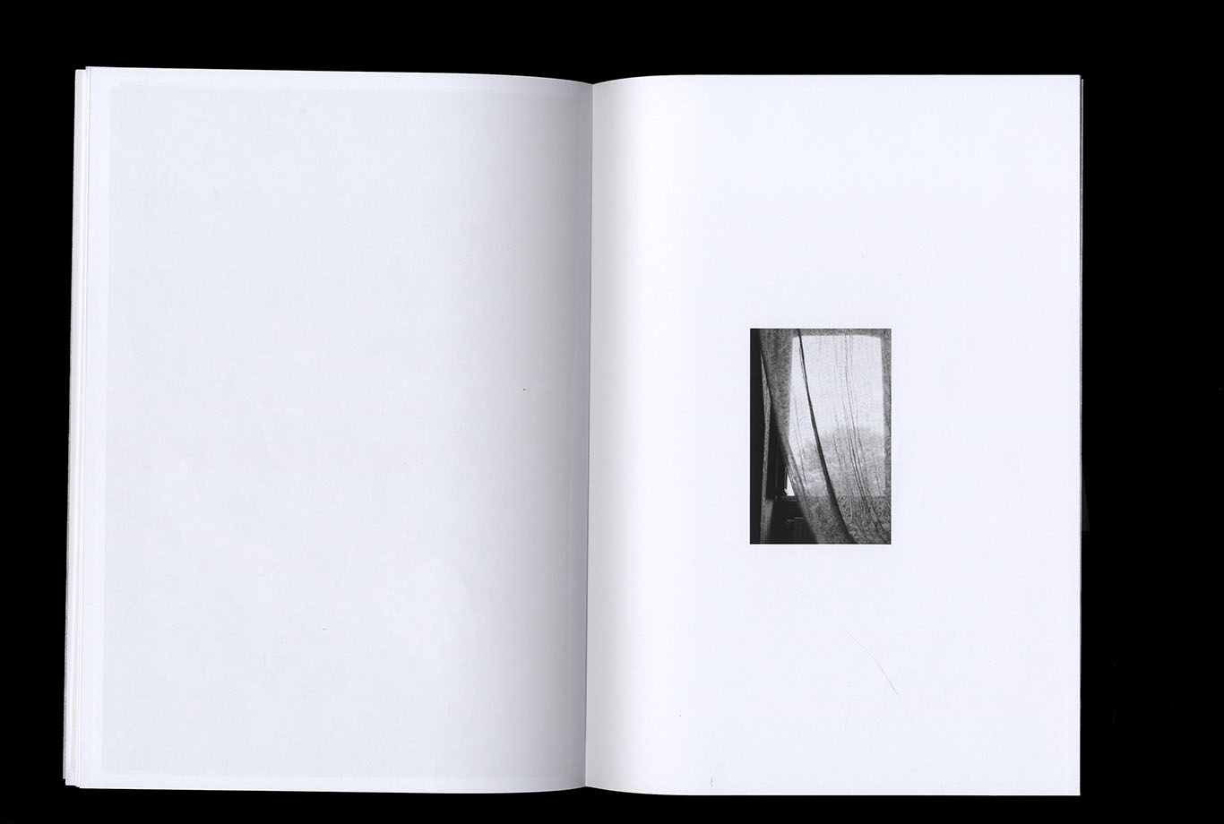 scan d'edition_la couleur des troncs usés_ photographie et texte_ Juliette Morisse