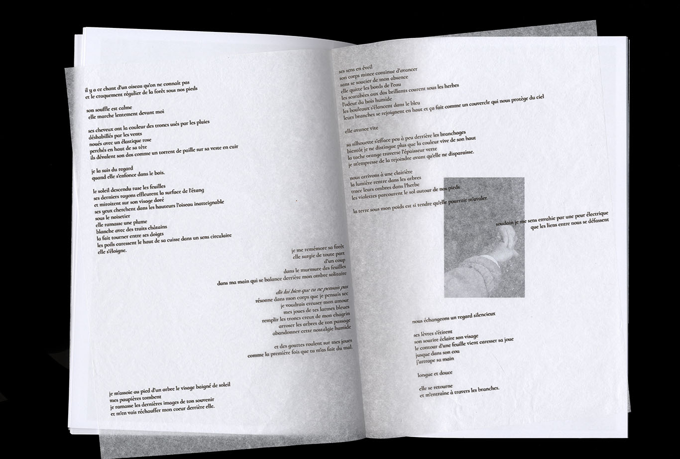 scan d'edition_la couleur des troncs usés_ photographie et texte_ Juliette Morisse